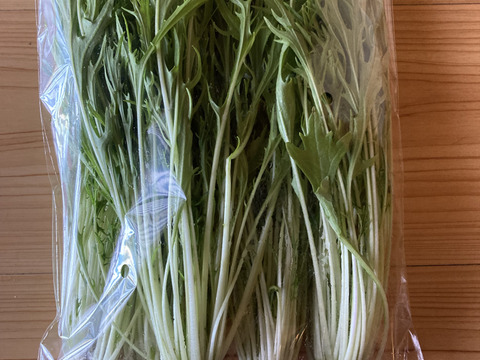 おべじの小さな畑便 ≪初夏のサラダ野菜セット≫
