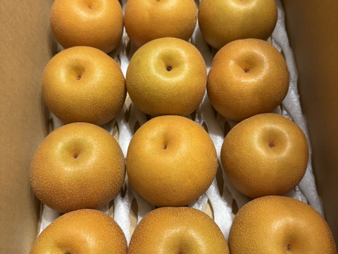 ジューシーなあきづき梨　栃木産　5キロ(11-12)