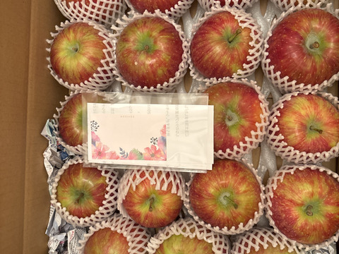 「しなのリップ約5kg」「夏りんごの主役」！長野県オリジナル品種。果汁が多く甘味と酸味のバランスが良い。夏収穫りんごを食べるなら押さえておきたい品種です。お届け後冷蔵庫にて