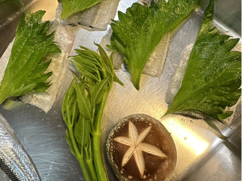 とくだいサヨリ 日間賀島産 刺身OK 塩焼き・フライ用 1kg ゴールデンウイーク大漁特価100-125g個体※8-10匹
もっとでかいのも入れるかも!