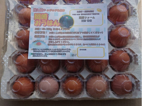 (常温配送)出荷日当日の朝採りお届け致します☆平飼い濃厚卵　岡崎おうはん30個＋割れ保証