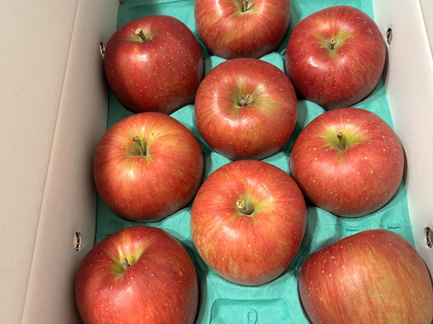 りんご  シナノスイート 大野農園スタッフ投票1位の品種 12～6個程度（3㎏程度）