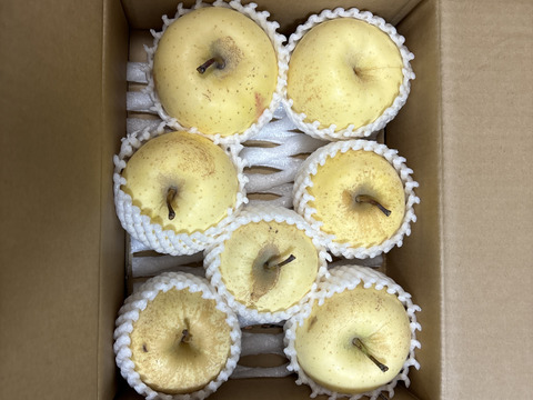 ～🍎青森りんごを直送🍎～　『ご家庭用・金星』２Kg　６～９個入り