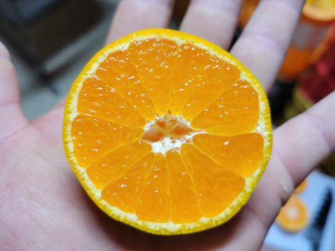 【特別栽培】和歌山県(桃山町産)　みかん【宮川早生】2kg