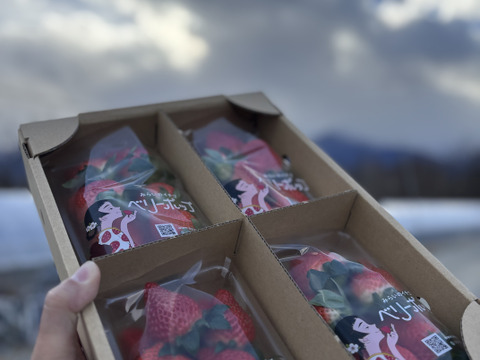 いちごグランプリ銅賞！！ベリーポップはるひ　250gx4p