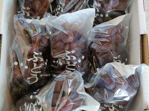 【家庭用】食べ応え抜群！キングデラ　1.8㎏（6～9房）