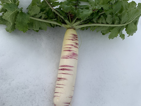 【自然栽培】4~5品目のお野菜セット Sサイズ