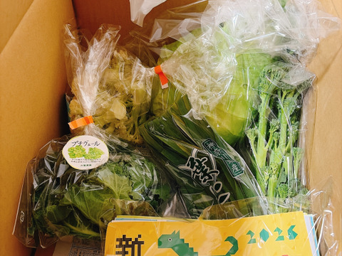 【新春　1月発(^^♪】双葉農園の”イチオシ”の7種の野菜セット　 〜from 名水の里　神奈川県秦野市