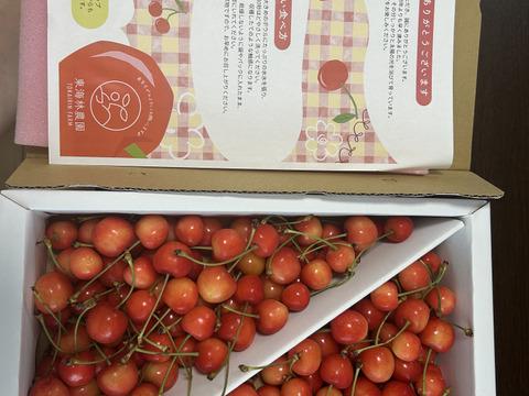佐藤錦】家庭用グラデーションセット 🍒700グラム🍒【双子ちゃんが