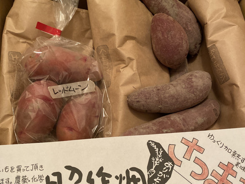 【3種食べ比べ・5kg】南国高知のサツマイモ