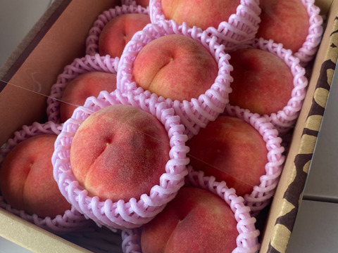 桃の王様！山形県産川中島白桃【丸かじりサイズ2キロ】