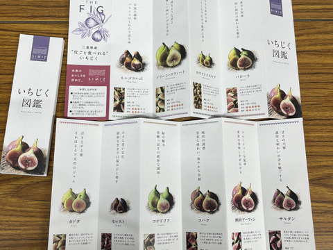 THE FIG ～皮ごと食べれるいちじく～