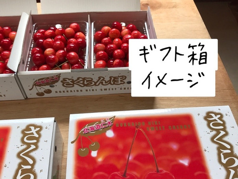 【限定20箱】北海道仁木町産さくらんぼ（南陽）１キロ