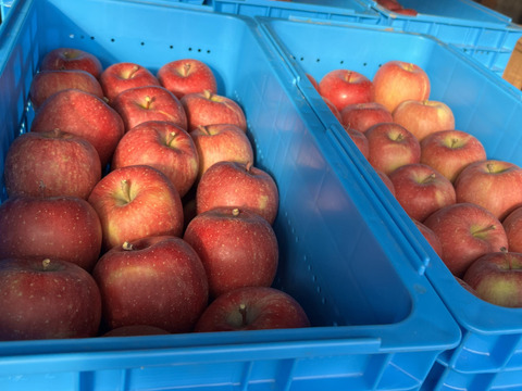 🍎６本🍎生りんごの風味そのまま！【黄金比率ブレンド】昔ながらの１００％りんごジュース　段ボール発送