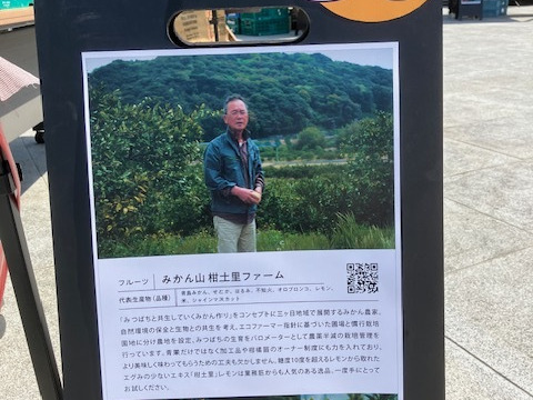 柑橘ブレンドジュースゴールド720ｍｌ瓶二本セット