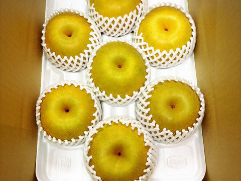 大豊作‼️300円引き【繊細なシャリ感とあふれる果汁‼️】PREMIUMあきづき梨3.0kg(特大5~7個)✨️ 上品な甘さ、酸味が少なく歯触りのいい梨🍐果汁たっぷり桃のような風味が特長