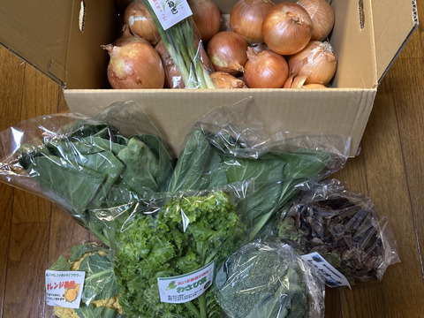 【福袋】玉ねぎ6kg🧅とその他葉物野菜など5種類以の上野菜セット