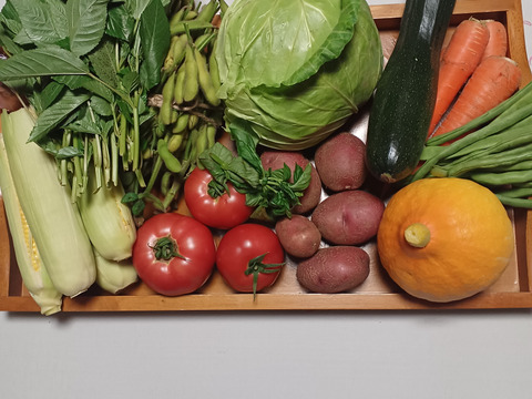 安心・安全な旬のおまかせ野菜セット　７～８種類