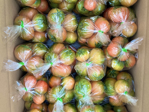 [予約割引20%OFF]むぎゅっとがっしり！！個性派濃旨フルーツトマト（10キロ)