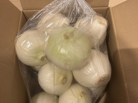 ‼️白剥き玉ねぎ2.5kgお買い得‼️淡路島玉ねぎ白剥き‼️主婦の味方❗️生ゴミ無し❗️即使える❗️特別栽培農産物　シャーロットオニオン