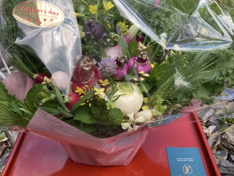 【父の日ギフト】野菜ブーケかごタイプ【カラフルなミニ野菜】【お誕生日】【開店祝】【周年祝】【お供え】