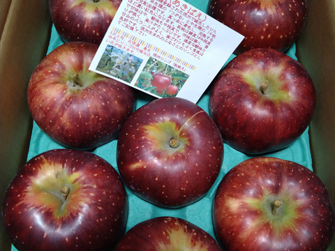 秋映　あきばえ  濃い味林檎　ご好評販売中　 訳あり　家庭専用　3キロコース　　 長野県ならでは第1弾(冷蔵貯蔵分）