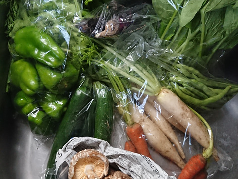 名残の夏野菜＆秋の旬野菜おまかせ6品目　※10月限定