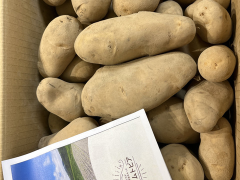 【訳あり】北海道産メークイン10キロ