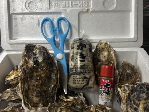 【期間限定10％値引き販売中】剥き身セット🚚2.3kg 生牡蠣🦪生食用むき身300g+殻付き牡蠣普通サイズ ２kg（目安12-32個）松島牡蠣屋 C