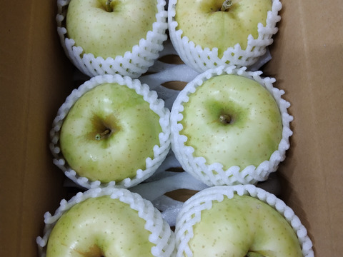 トキ2キロ　6玉 2Lサイズ 　香り、歯ざわり、口当たりも良好な秋田育ち