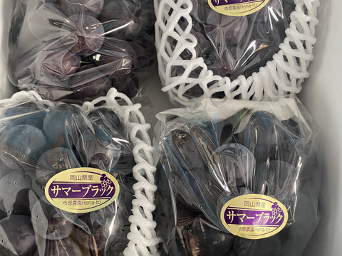 岡山県産　数量限定【お買得✨訳あり】サマーブラック🍇5房〜6房入り