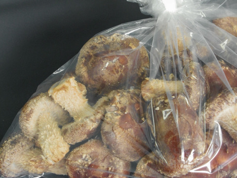 【お得用！】大田区で収穫！東京福しいたけ　サイズミックス(500g・袋包装)