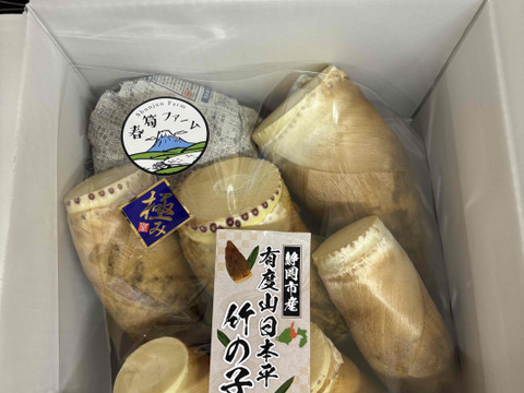 ２０２６年度収穫分・静岡市産！有度山日本平竹の子『極み』1ｋｇ