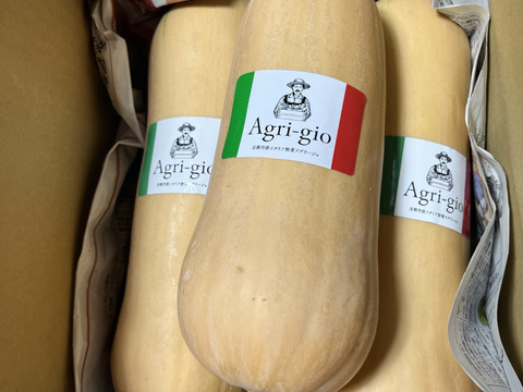 【京都産】蔵出しバターナッツかぼちゃ　３kg（約３～６個）