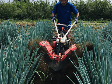 細め！の深谷ネギ泥付きギッシリ　4ｋｇオーバー＼(^o^)／