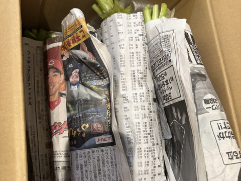 【農家直送】新鮮大根約4.5キロ
栽培期間中農薬不使用