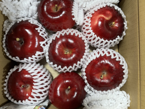 酸っぱい！赤肉りんご「紅の夢」（２㎏）