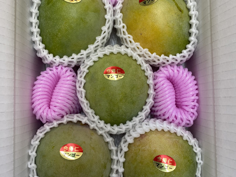 ★数量限定★ご家庭用　沖縄県産キーツマンゴー　2kg（4～6玉）