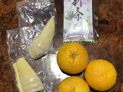 【初回限定BOX】爽やかな春の香り!静岡春の山の幸満喫セット (新茶、筍水煮、スルガ甘夏)