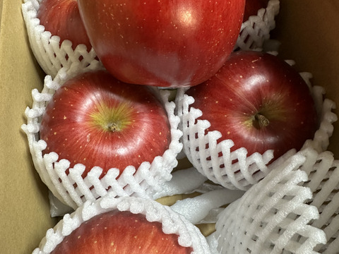 シナノスイート２キロ　6玉　収穫後冷蔵庫保管から今目覚めた