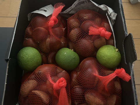 大分県産　栗4kg