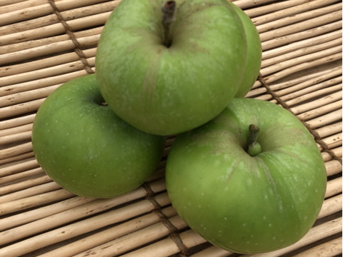 今年最後の追加！家庭用の選果品をお値打ちで！イギリス生まれの青りんご　ブラムリー5ｋｇ