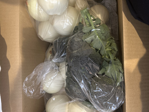 大好評，地層が違う淡路島むき玉ねぎ、ターザン(風袋込み６キロ)