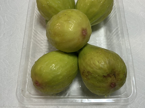 いちじく　２種セット　ドーフィン＆いちじくバナーネ　予約販売　順次配送