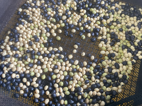 【迷ったらこれ！】豆・草・黒ゴマ海老餅、1PCずつ計3PCセット【送料360円】