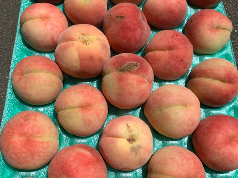 あかつき　桃　家庭用訳あり約5キロ22-28玉入　食べきりサイズがちょうどいい！