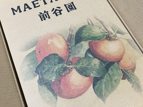 贈答用　たねなし柿　3㎏　（8〜12個入り）