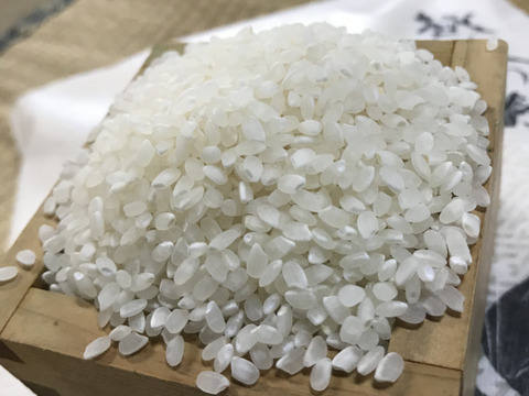 新潟のこりゃまた美味いおにぎり( ´ ▽ ` )
植酸栽培米コシヒカリ　10kg