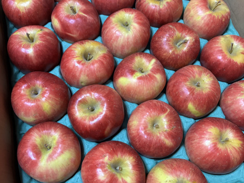 16ケースできました！【りんごの概念変わります】見た目は悪いです！奥州ロマン 訳あり品 5キロ箱 15玉から33玉くらい ID12924 長野 信州 安曇野 リンゴ 幻 幻のリンゴ  希少  甘い