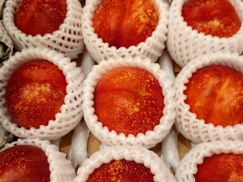 極甘！とれたてネク桃・ハネージュA品（約3㎏）